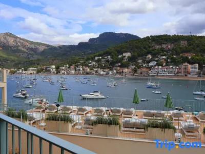 Citric Sóller - 176