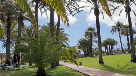 Abora Interclub Atlantic by Lopesans - 26