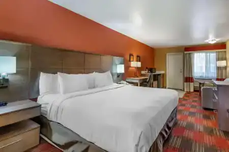 Comfort Inn Lucky Lane - 23
