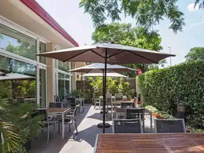 Ibis Cornella - 24
