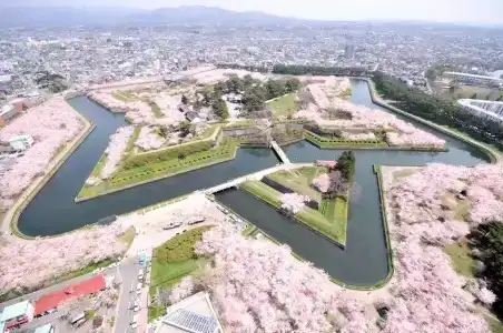 Hakodate Kokusai - 37