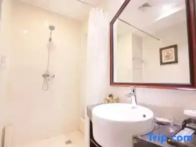 Ibis Budget Singapore Sapphire (SG Clean) - 55