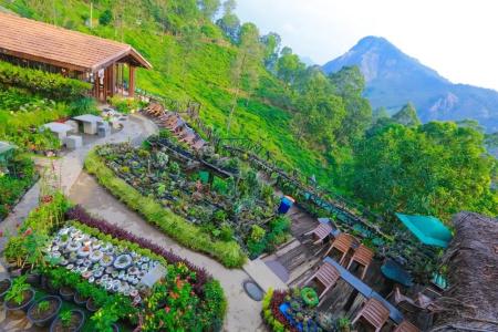 Ella Flower Garden Resort - 49