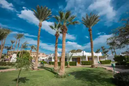 Shams Safaga Resort - 35