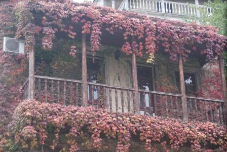 Guest House Santlis Shesakhvevi - 10