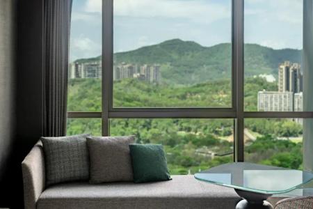 The g Shenzhen, a Tribute Portfolio - 30