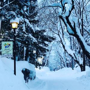 The Guest House Japan Hakuba - 23