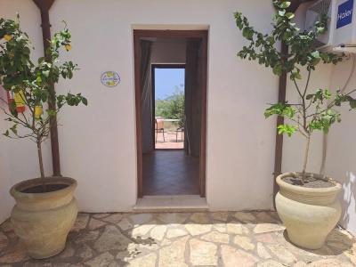 Fattoria Manostalla Villa Chiarelli - 21