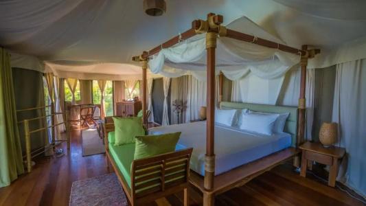 9 Hornbills Tented Camp - Sha Plus - 52