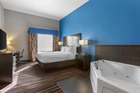 Best Western Plus Tech Medical Center Inn - 77