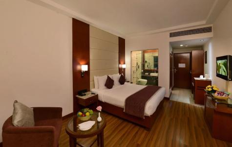 Lords Plaza Jaipur - 1