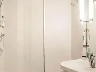 Ibis Cornella - 11
