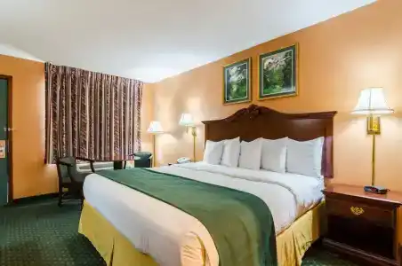 Quality Inn South - 58