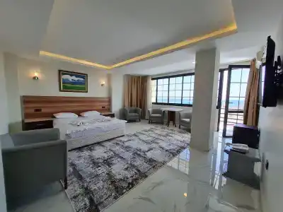 Palmera - 56