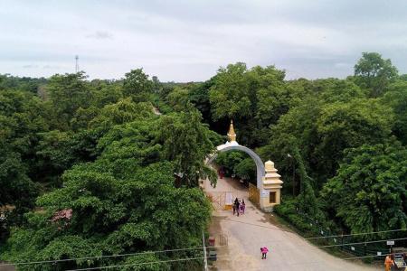 Little Buddha - 2