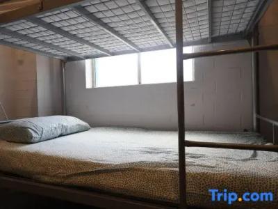 City Backpackers - 9