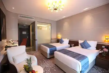 Vip - 41