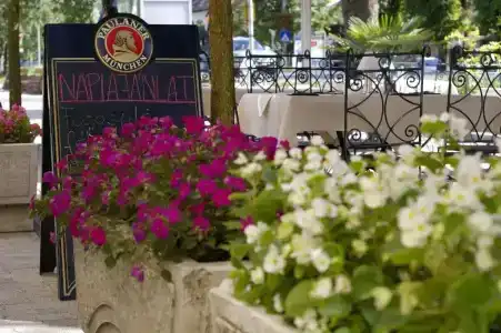 Xavin Wellness & Restaurant - 22