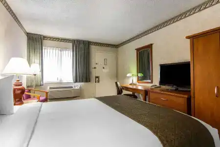 Quality Inn & Suites - 38