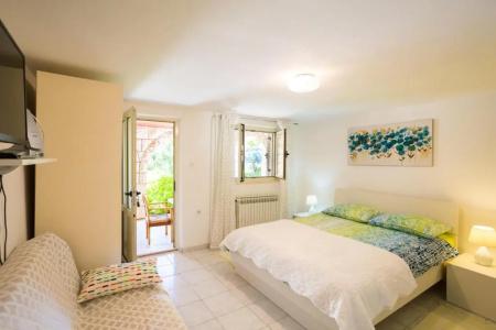 Guest House Steel - 50