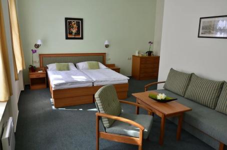 Castle Residence Praha - 11
