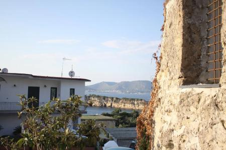 Pharus miseni B&B - 15