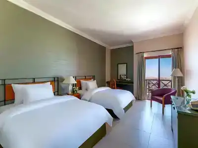 Mövenpick Nabatean Castle - 41