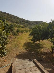 Perivoli Country & Retreat - 70