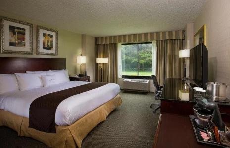 DoubleTree by Hilton Charlotte Airport - 43