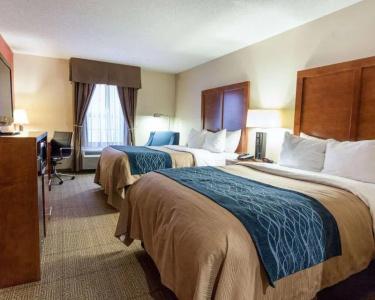 Comfort Inn Civic Center - 46