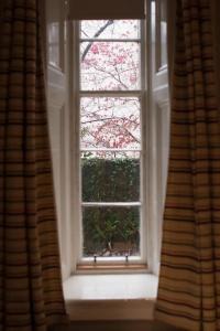 The Belhaven - 3
