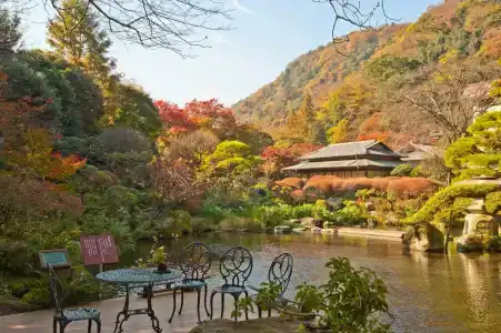 Yoshiike Ryokan - 29