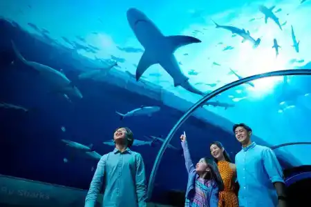 Resorts World Sentosa - Hard Rock (Sg Clean) - 145