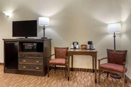 Comfort Inn at Thousand Hills - 69