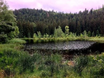 Engel Obertal - 18