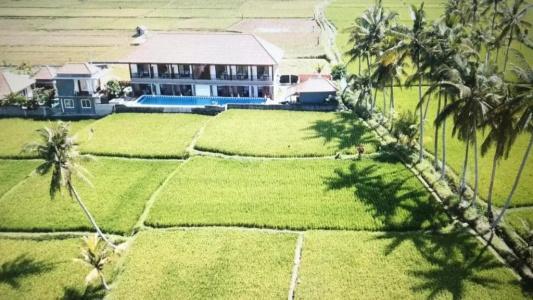 The Sawah Resort & Villa - 45