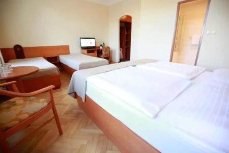 Merkur - Czech Leading Hotels - 35