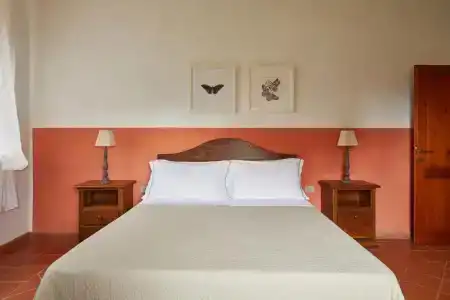Agriturismo Boschi di Montecalvi - 158
