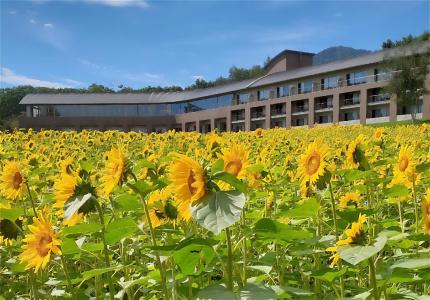 Furano - 12