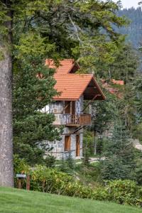 Foleya Mountain Resort & Villas - 93