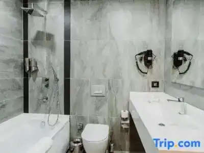 Best Western Plus - 71