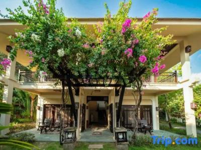 Anja Beach Resort & Spa - 78