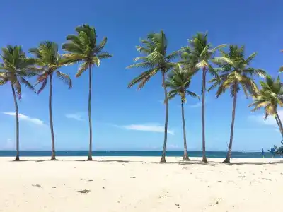 Emotions Puerto Plata - 45
