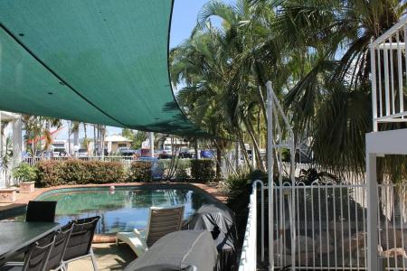 Colonial Rose - 10