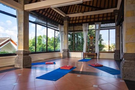 Ubud Aura Retreat - 27