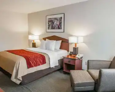 Comfort Inn Indianapolis South I-65 - 25