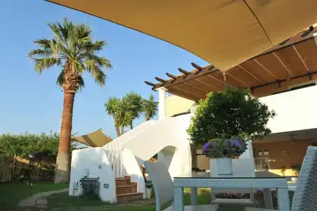 Il Leone Di Mare - 12