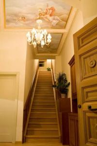 Xenon Inn - 12