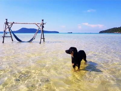 Dolphin Bay - 11