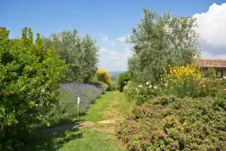 Podere Il Pino - 22